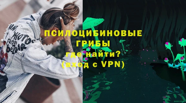 бошки Верея
