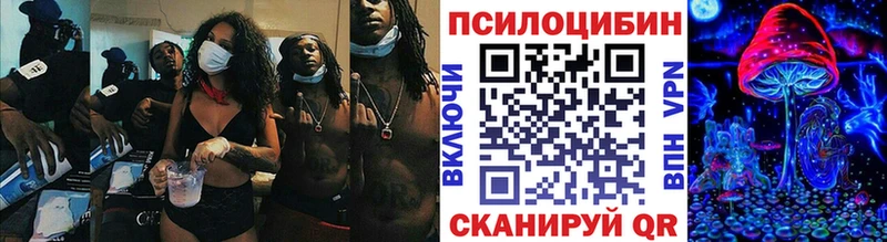 Псилоцибиновые грибы Cubensis  где продают   Афипский 