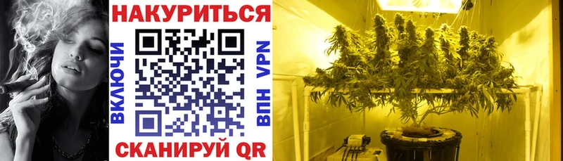 это клад  Афипский  Канабис White Widow 